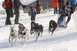 Lenk 2012 SM